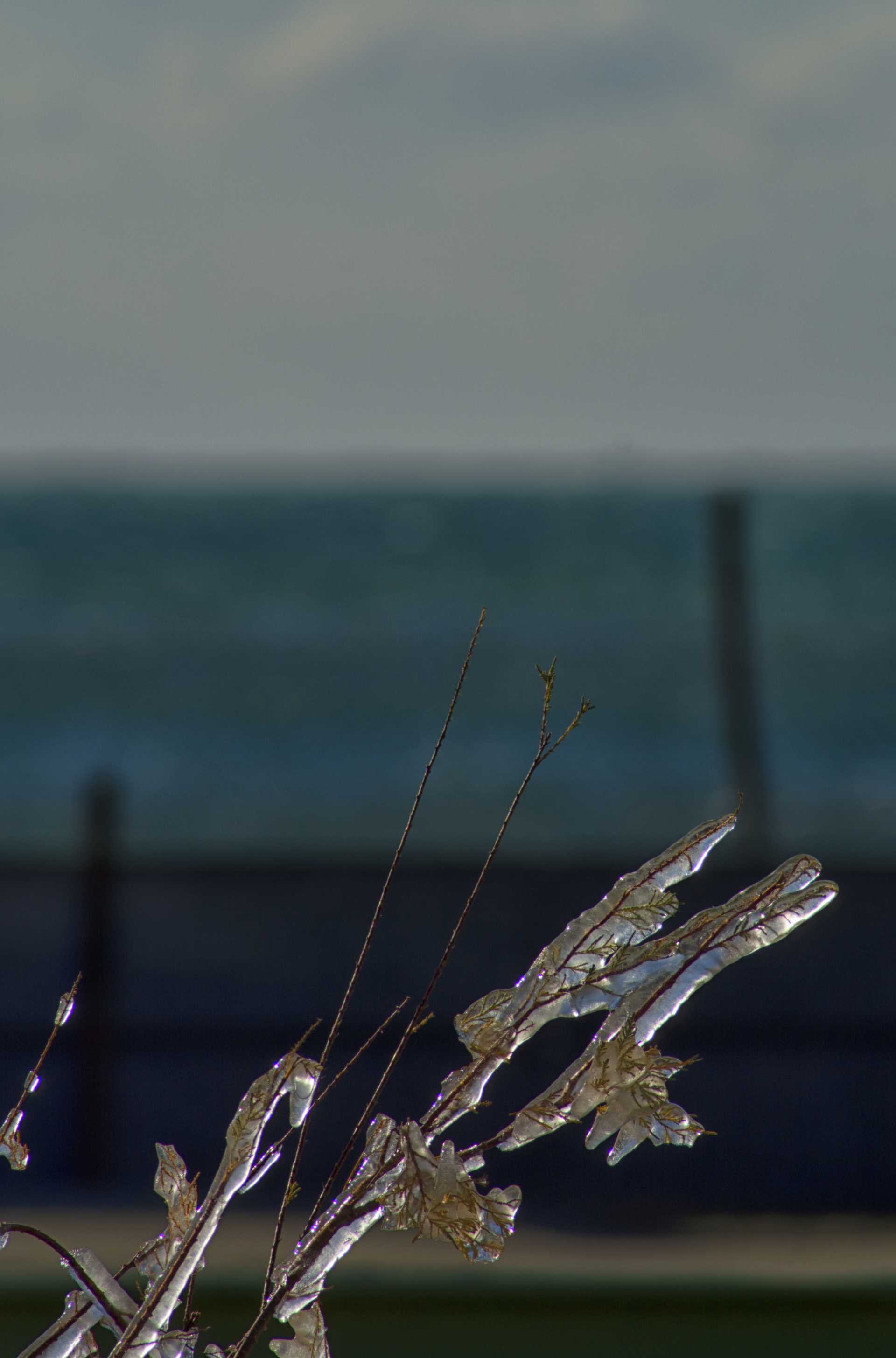 Il giardino di cristallo a Ostia